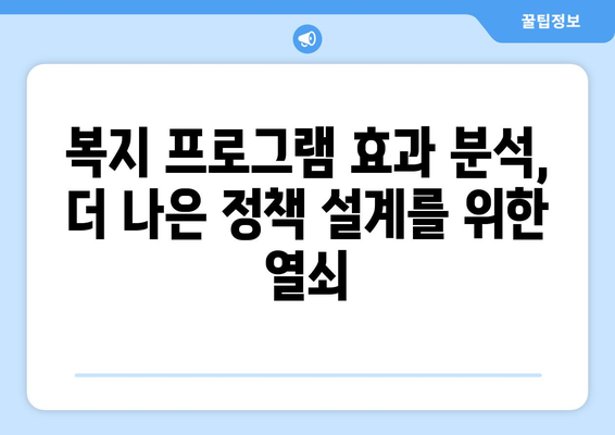 복지 프로그램의 효과성 분석