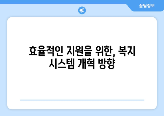 복지 제도의 문제점과 해결책