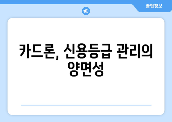 신용카드를 활용한 대출 관리