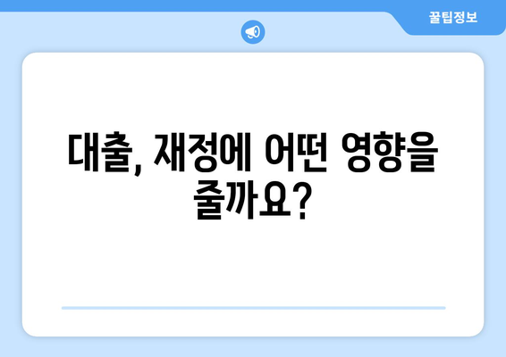 대출이 재정에 미치는 영향